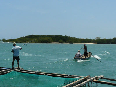 [-][-]Vùng[-]biển[-]nơi[-]phát[-]hiện[-]cá[-]mập[-]con.